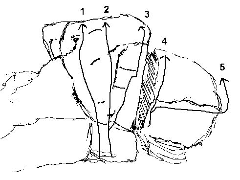 Buttress 3.gif