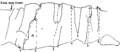Thumbnail for version as of 18:41, 22 May 2011